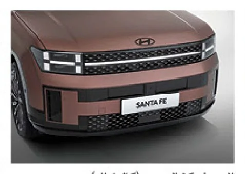 Hyundai Santa Fe – vue 66